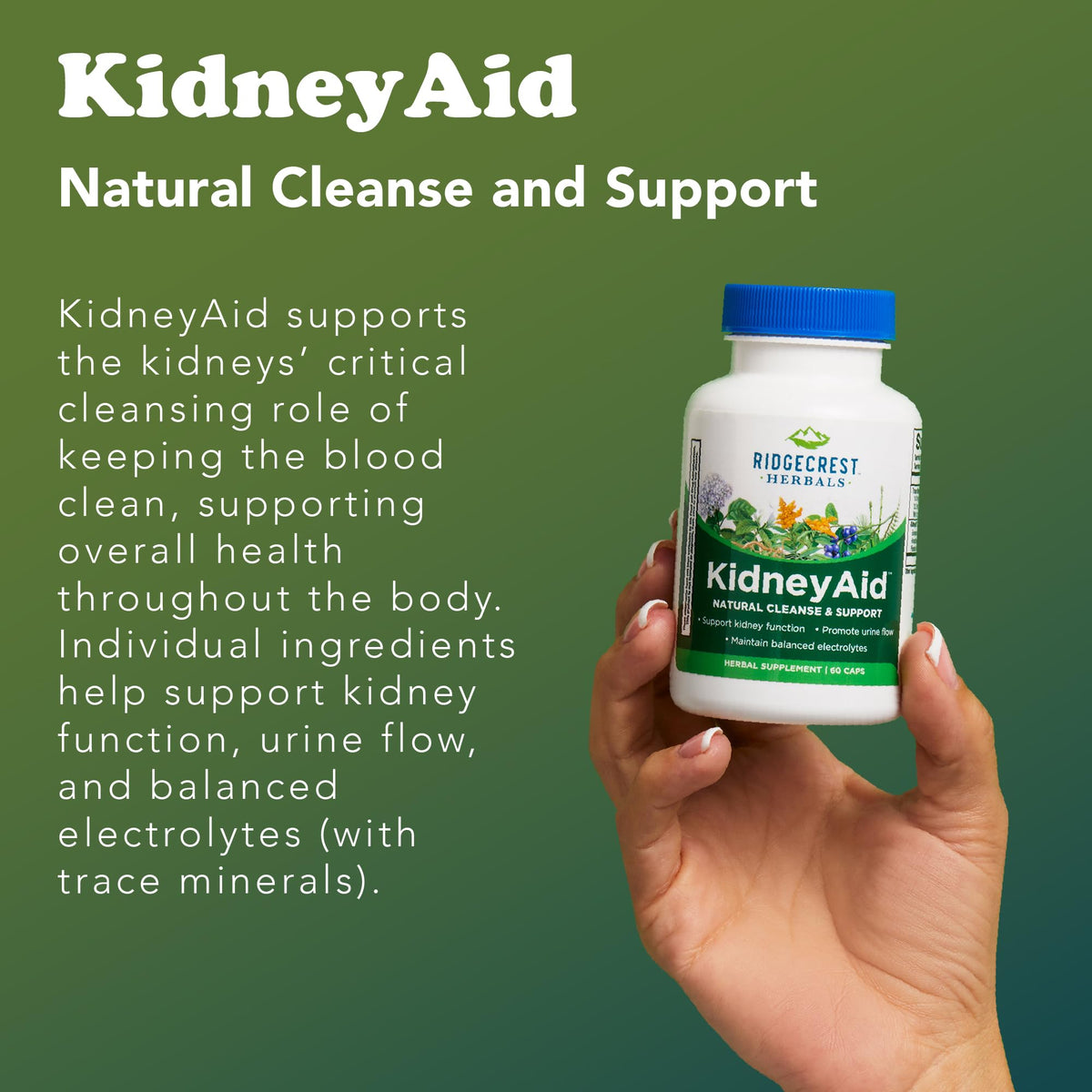 RidgeCrest Herbals KidneyAid Kidney Support - 60 Capsules - image 5