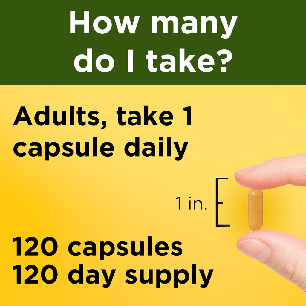 Nature Made Turmeric Curcumin 500 mg - 120 Capsules - image 4