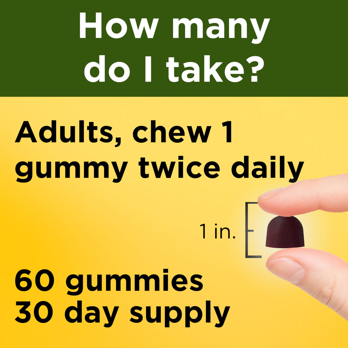 Nature Made Ashwagandha KSM-66 Gummies Stress Support - 60 Gummies - image 4