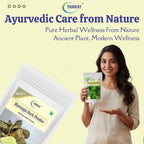 YAMKAY Moringa Bark Powder - 700 g - image 6