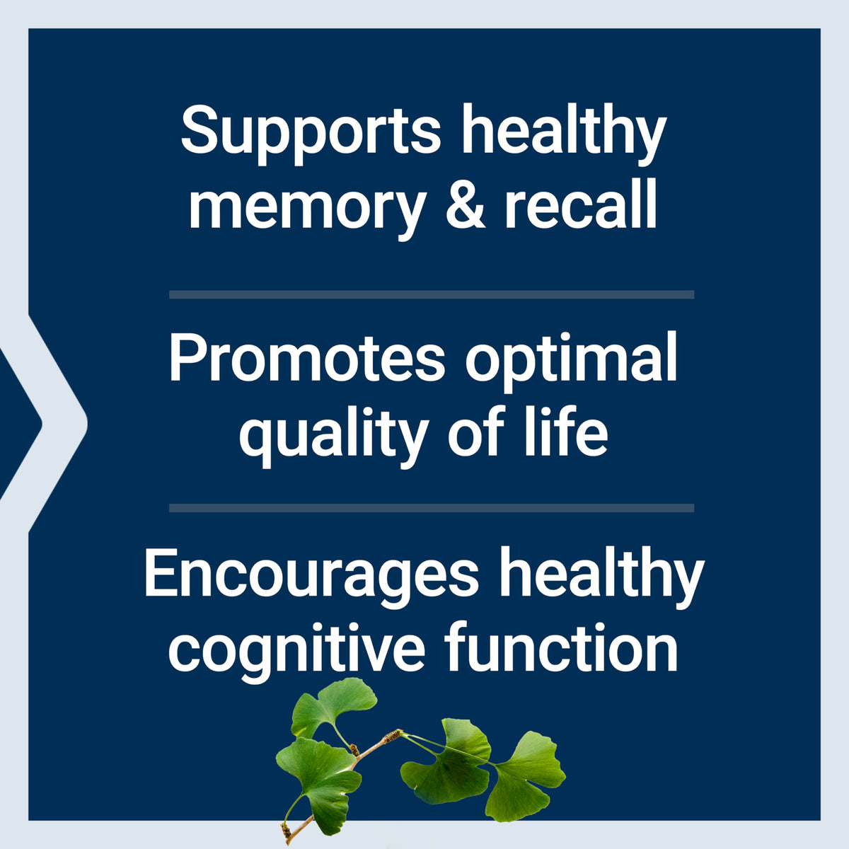 Life Extension Ginkgo Biloba Certified Extract 120 mg - 365 Capsules - image 4