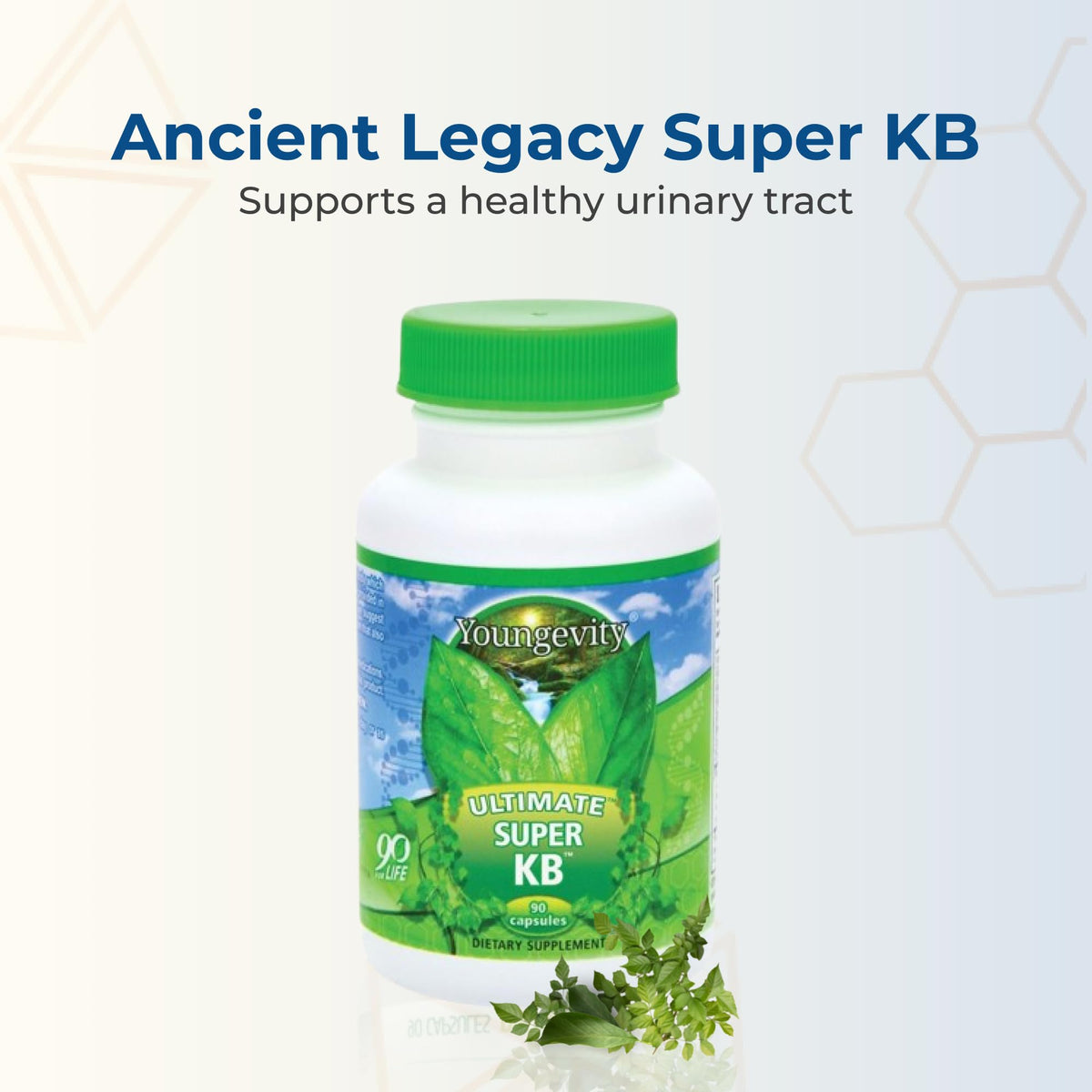 Youngevity Super KB Cranberry Urinary Tract Support - 90 Capsules - image 2