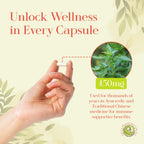 Green Dragon Botanicals Andrographis 450 mg - 100 Vegetarian Capsules - image 3