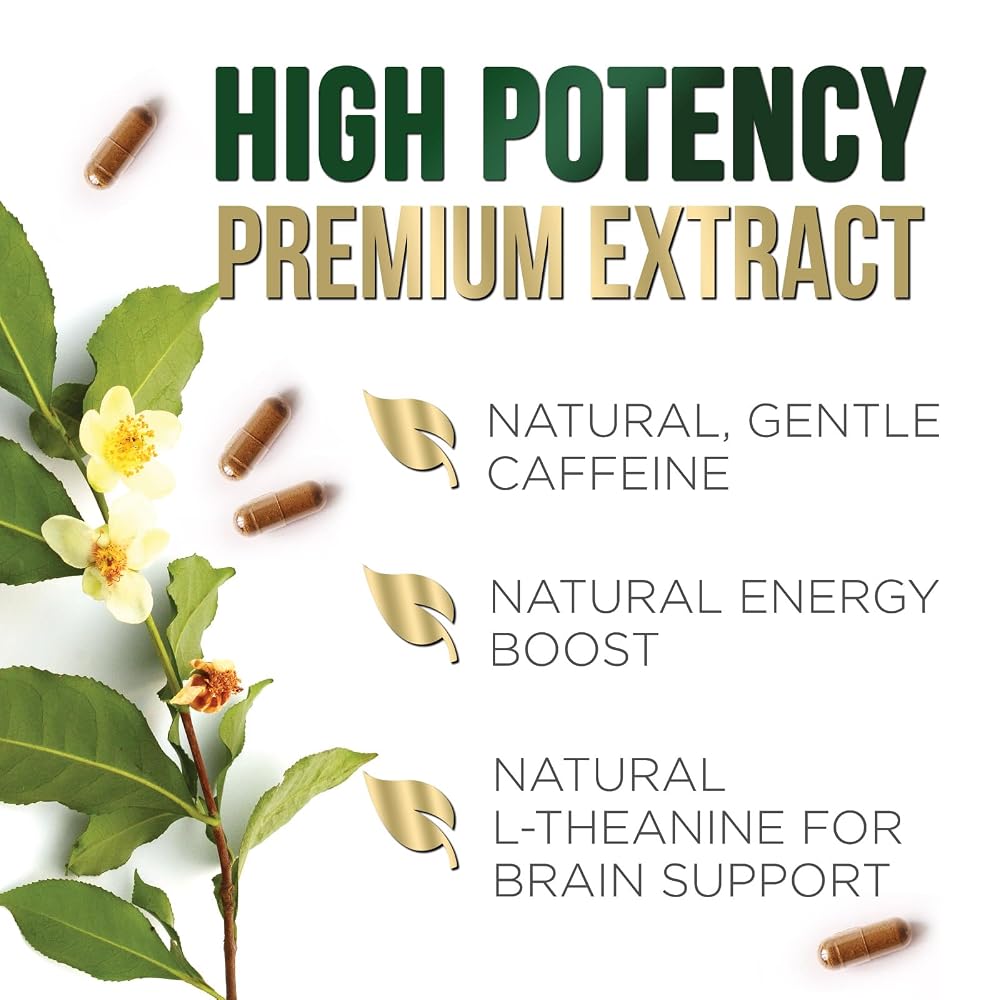 Nature's Nutrition Green Tea Extract 1000mg Per Serving - image 8
