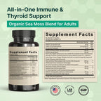 VINATURA Organic Sea Moss Immune Booster - 60 Capsules - image 2
