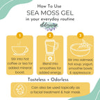 Elderwise Golden Sea Moss Raw Wildcrafted Gracilaria - 2.5oz - image 5