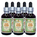 Herbal Terra LLC Pink Rose (Rosa damascena) Tincture