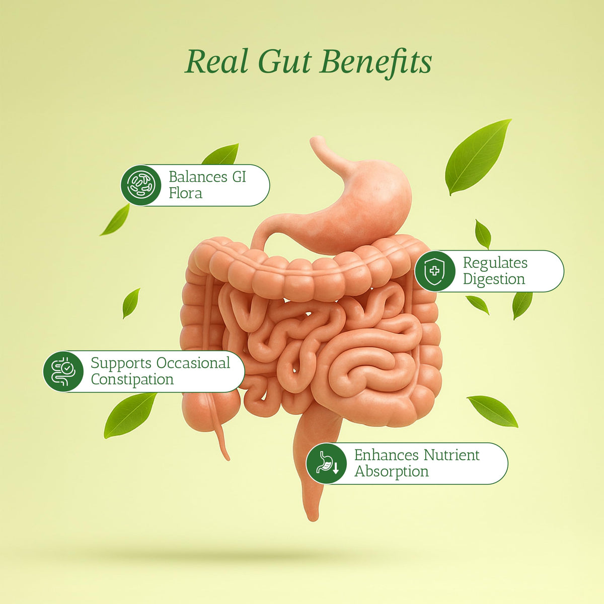 Vitamin Bounty Prebiotic Capsules for Digestive Health - 60 Vegan Capsules - image 2