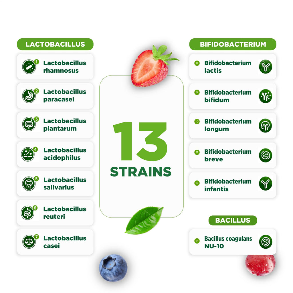Lifeable Pre Post Probiotic Gummies for Men 10 Billion - 90 Count - image 5