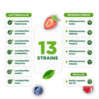 Lifeable Pre Post Probiotic Gummies for Men 10 Billion - 90 Count - image 5
