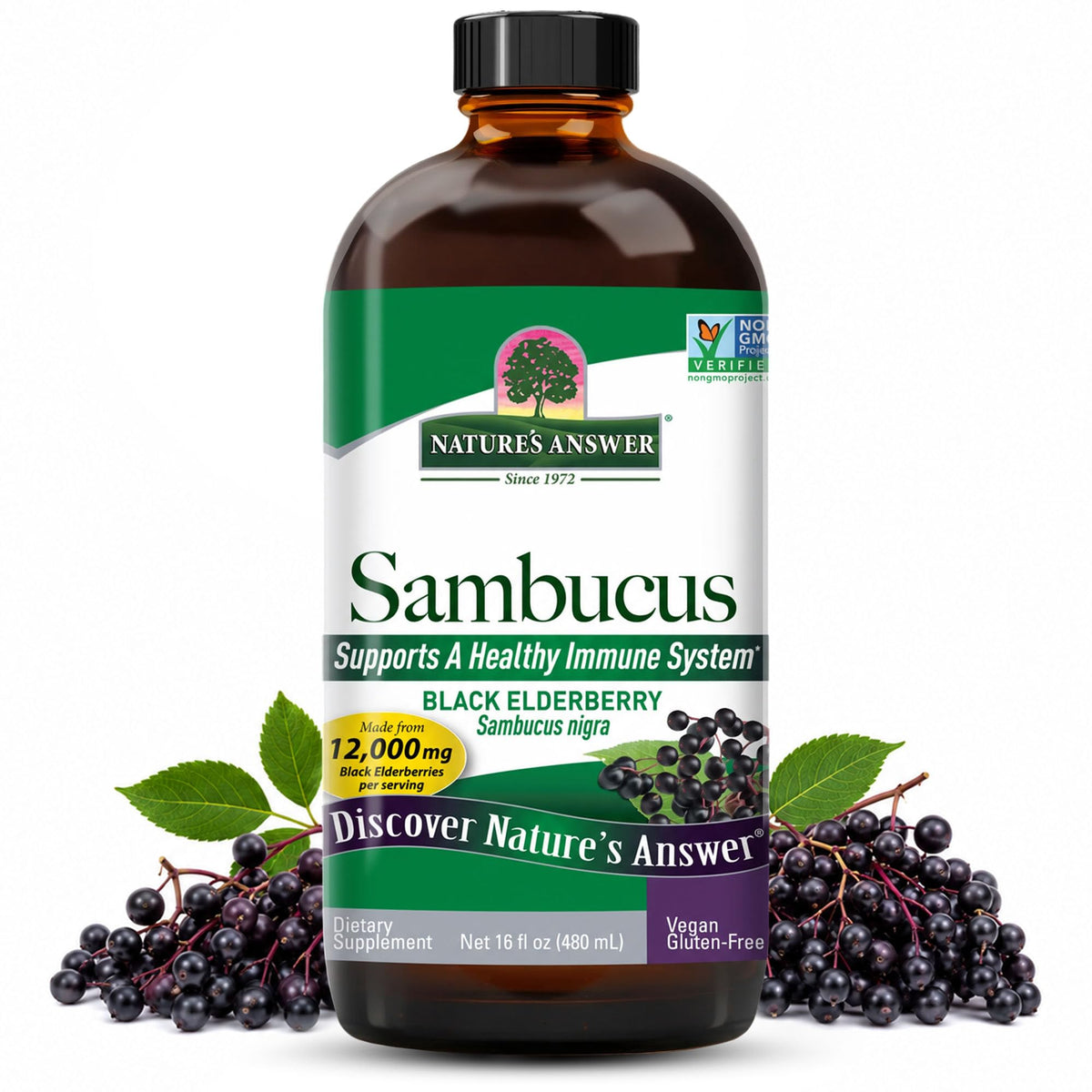 Nature's Answer Sambucus Original Elderberry Extract - 16 fl oz