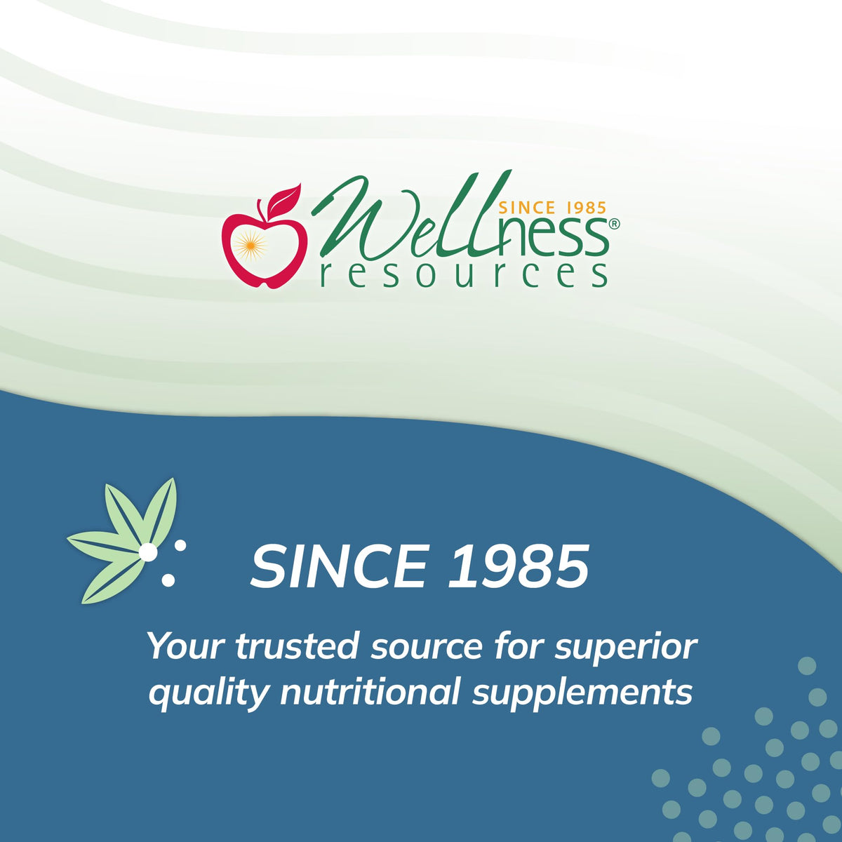 Wellness Resources I3C + DIM Capsules for Estrogen Metabolism - 60 Capsules - image 5