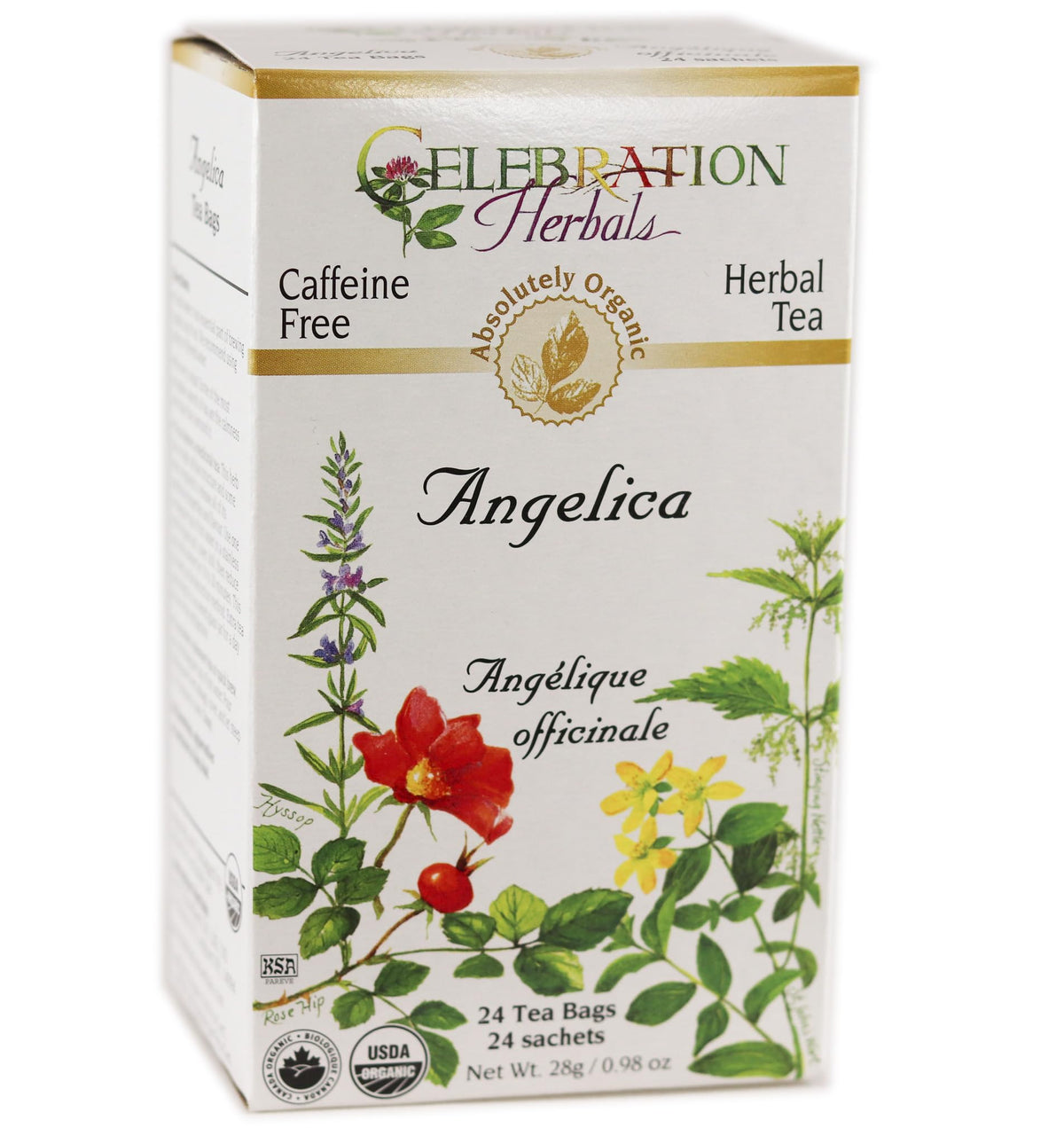 Celebration Herbals Angelica Root Organic - 24 Teabags