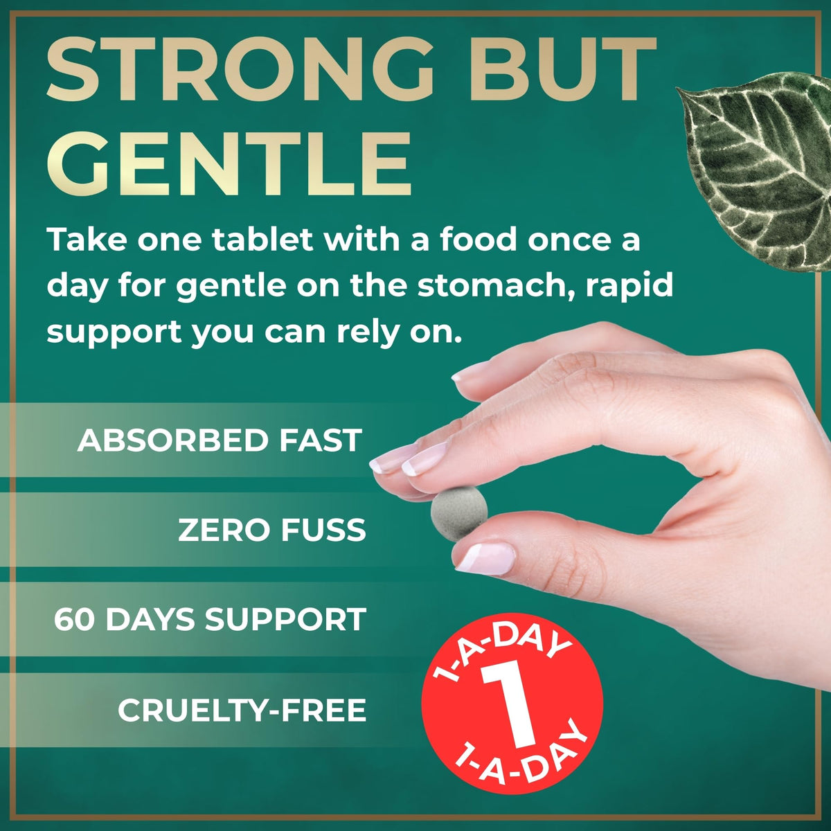 WILD FUEL Iron Supplement for Women with Folic Acid Parent