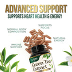 SILVERONYX Green Tea Extract 1000mg - 98% Polyphenols & 45% EGCG