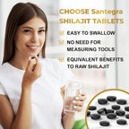 Santegra Shilajit Tablets 500 mg for Energy - 60 Tablets - image 3