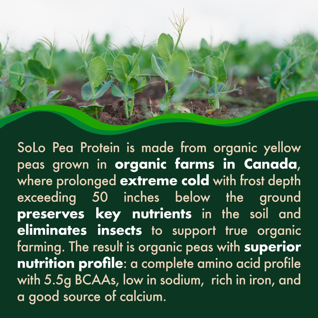 FOLONA SOLO Organic Pea Protein Isolate Powder - 2.7 lbs - image 4