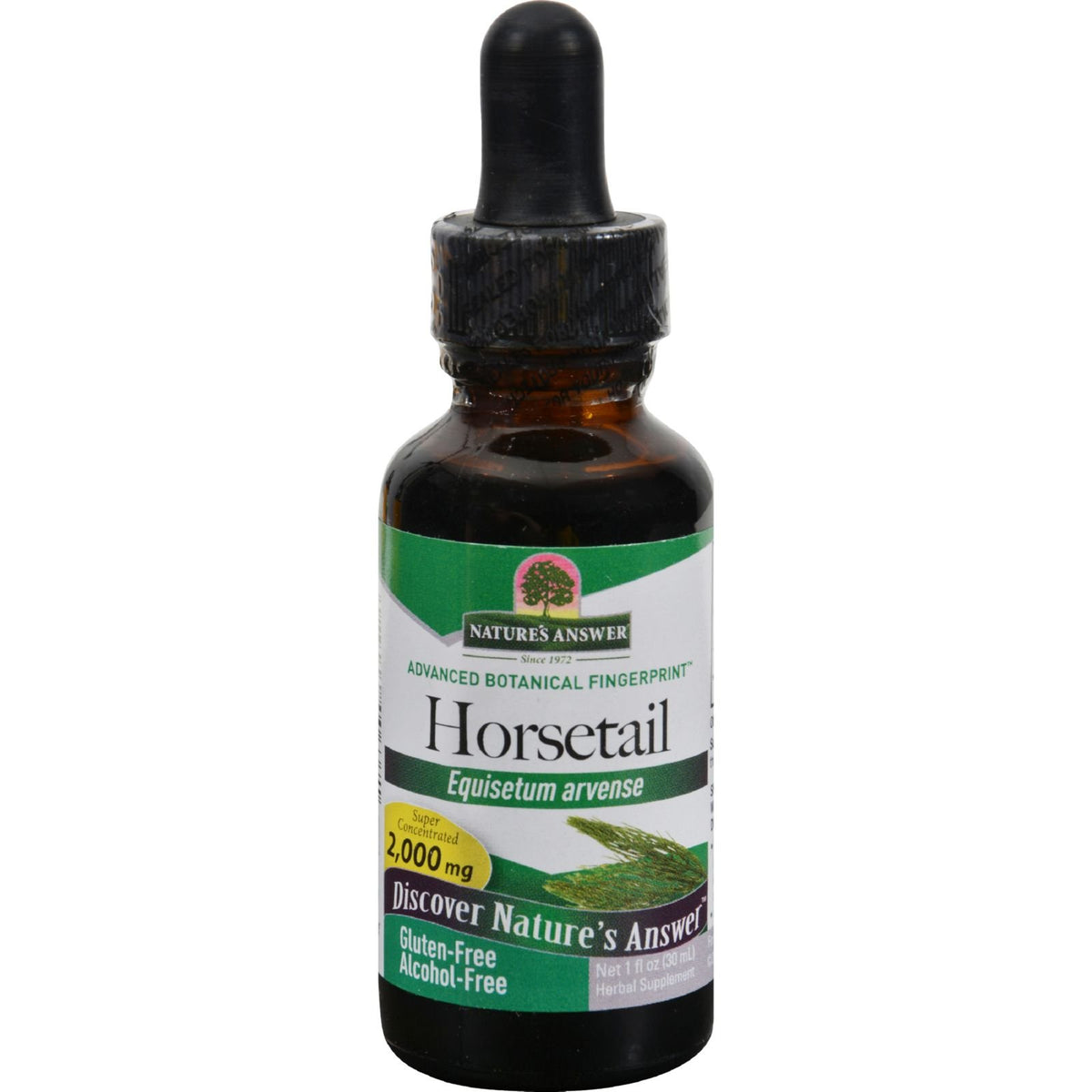Nature's Answer Horsetail Herb Alcohol Free - 2 fl oz