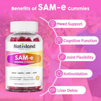 NATISLAND SAM-e with L-Tyrosine Gummies B-Complex - 60 Gummies - image 5