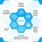 Memotenz Brain Function Supplement for Memory and Focus - 90 Capsules - image 2