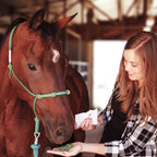 Formula 707 Joint 6in1 + Daily Essentials Equine Supplement - 28 Day - image 6