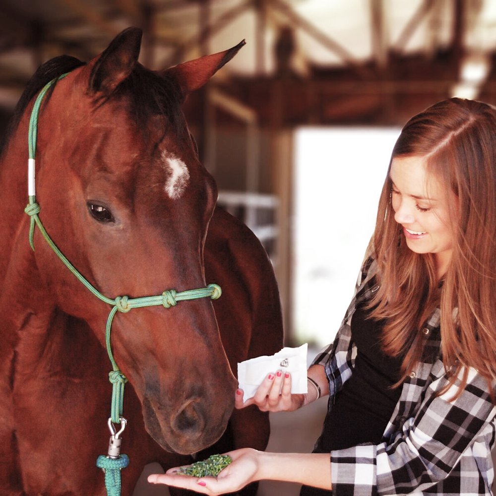 Formula 707 Joint 6in1 + Daily Essentials Equine Supplement - 28 Day - image 6
