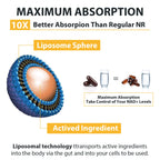 Orgabay Liposomal Nicotinamide Riboside 2000 MG with TMG