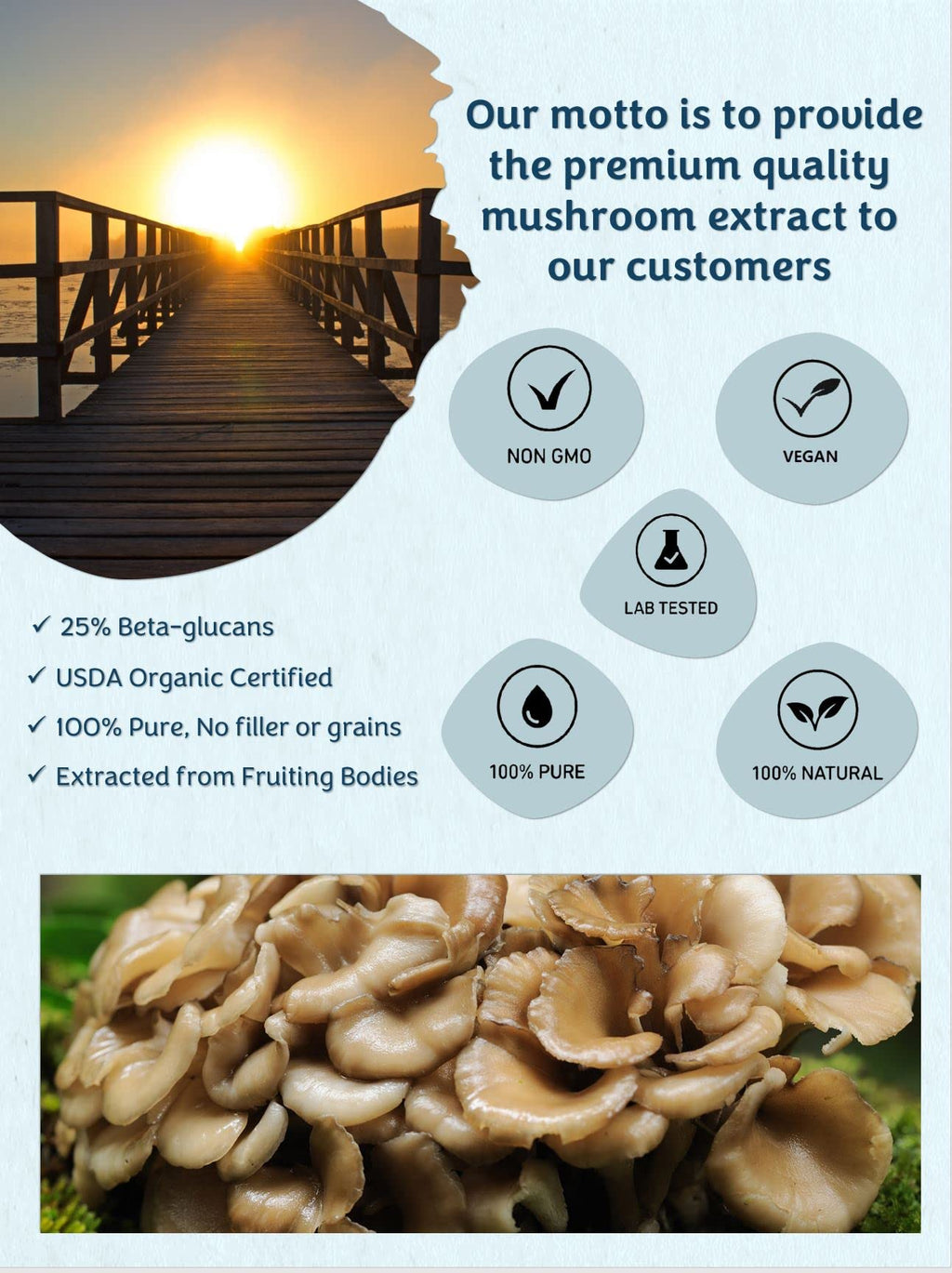 Mushroom Orbit Maitake Organic Mushroom Extract Powder - 120g - image 3