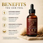 FUNGISIP Momentum Cordyceps & Lion's Mane Mushroom Tincture - 2 oz - image 3