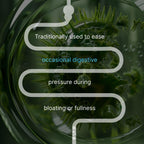 AUTHENTA IBShield Tincture Digestive Wellness - 100ml - image 7