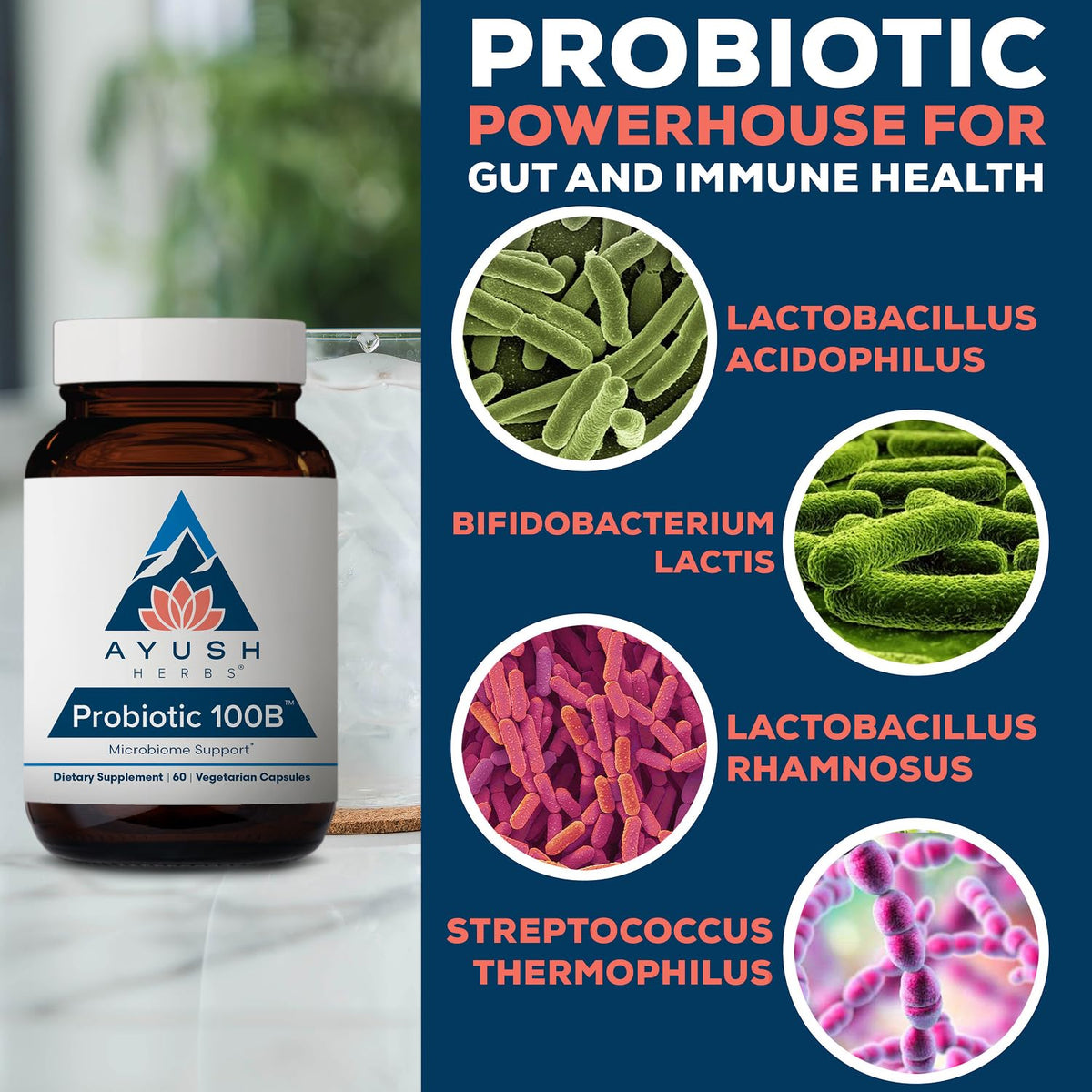 Ayush Herbs Probiotic 100B for Women - 60 Vegetarian Capsules - image 4