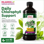 Milagros de Mexico Liquid Chlorophyll with Mint - 16 fl oz - image 2