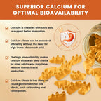 GONGOTA Calcium Citrate 1200mg with Vitamin D3 Gummies - 120 Gummies - image 7