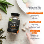 KaraMD Lectin Guard Colon Cleansing Supplement - 120 Capsules - image 5