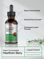 Horbäach Hawthorn Berry Extract Alcohol Free Liquid - 2 fl oz - image 3
