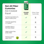 HUM Celery Juice Fiber Gummies Prebiotic Chlorophyll - 60 Count - image 8