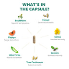 Digestic - Laxative for Constipation Relief - image 5