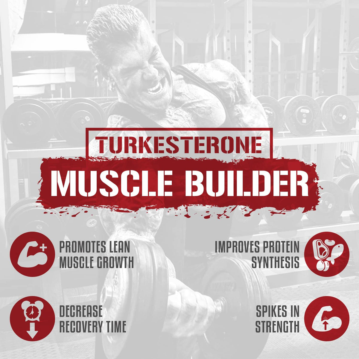 5% Nutrition 2-Stack Liver & Organ Defender with NAC + BiggerByTheDay - image 4