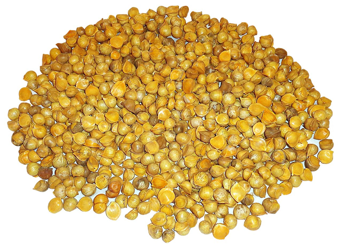 Morel Distribution Company Japanese Garlic//AJO Japones (100%
