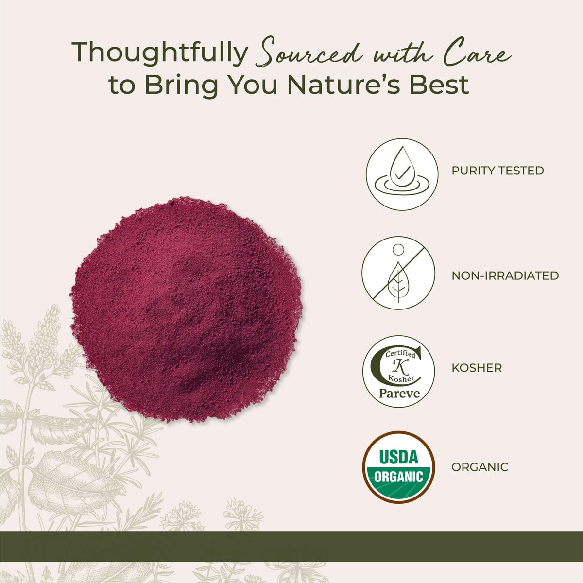 Starwest Botanicals Organic Beet Root Powder - 32 oz - image 4