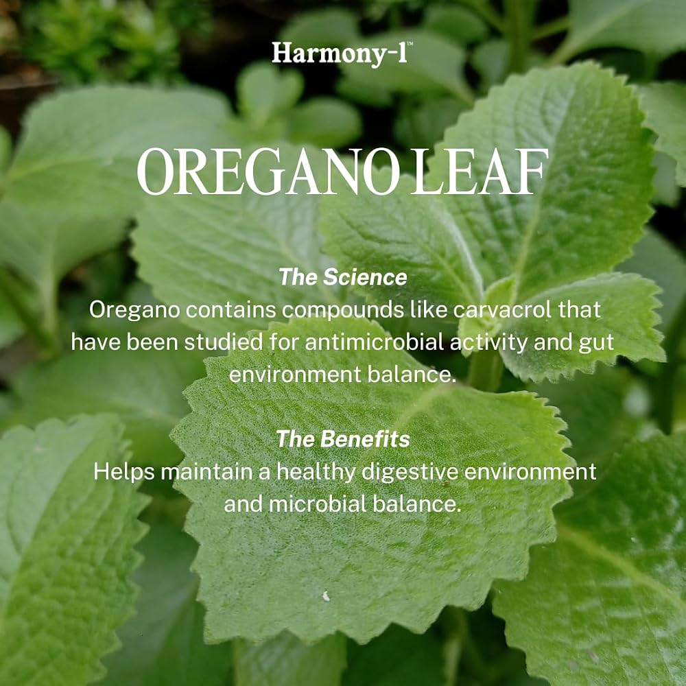Harmony-1 GLP-1 Digestive Support - 60 Capsules - image 7