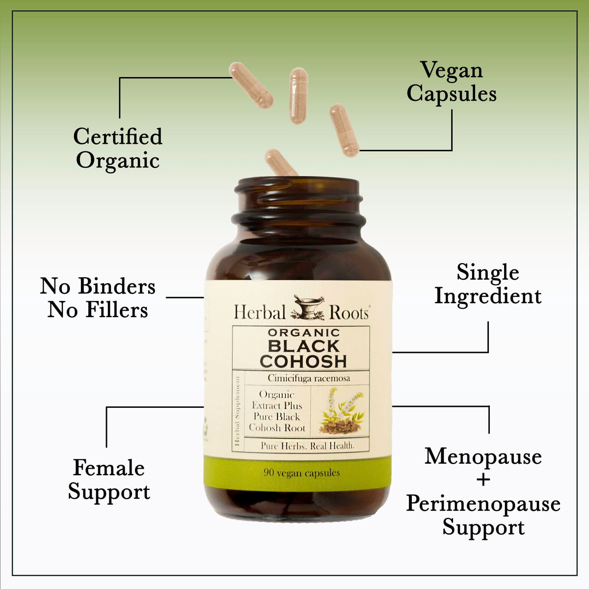 Herbal Roots Organic Black Cohosh Root Capsules - 90 Capsules - image 4