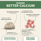 PlantFusion Vegan Calcium 1000mg with Vitamin D3 K2 - 90 Tablets - image 2