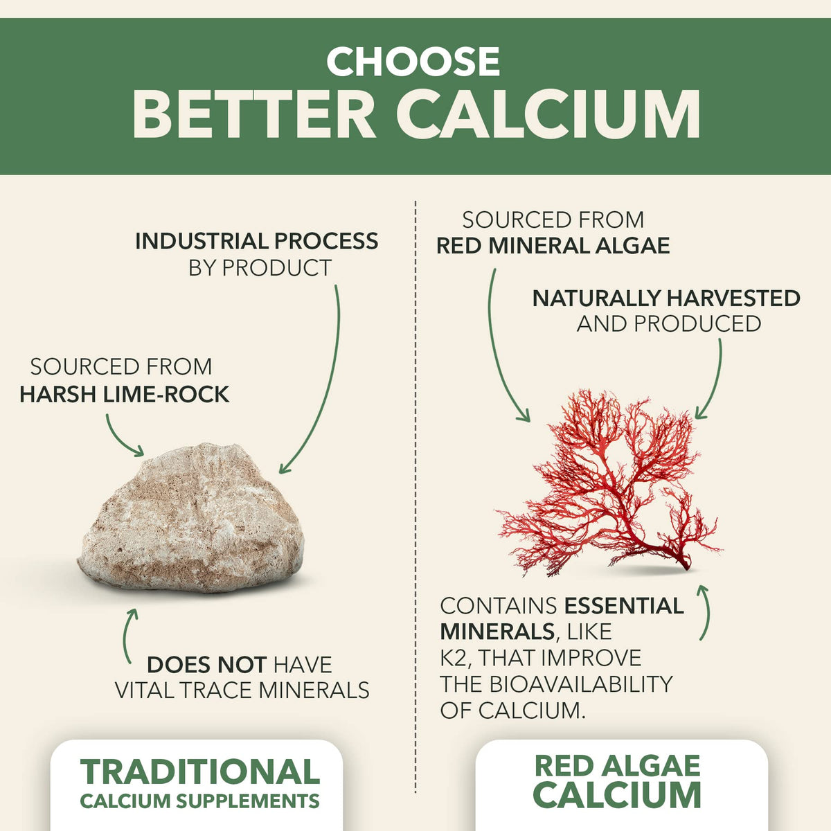 PlantFusion Vegan Calcium 1000mg with Vitamin D3 K2 - 90 Tablets - image 2