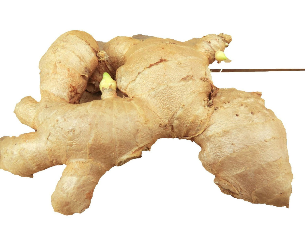 Om India Plaza Fresh Ginger Root Whole - 1 Pound - image 3