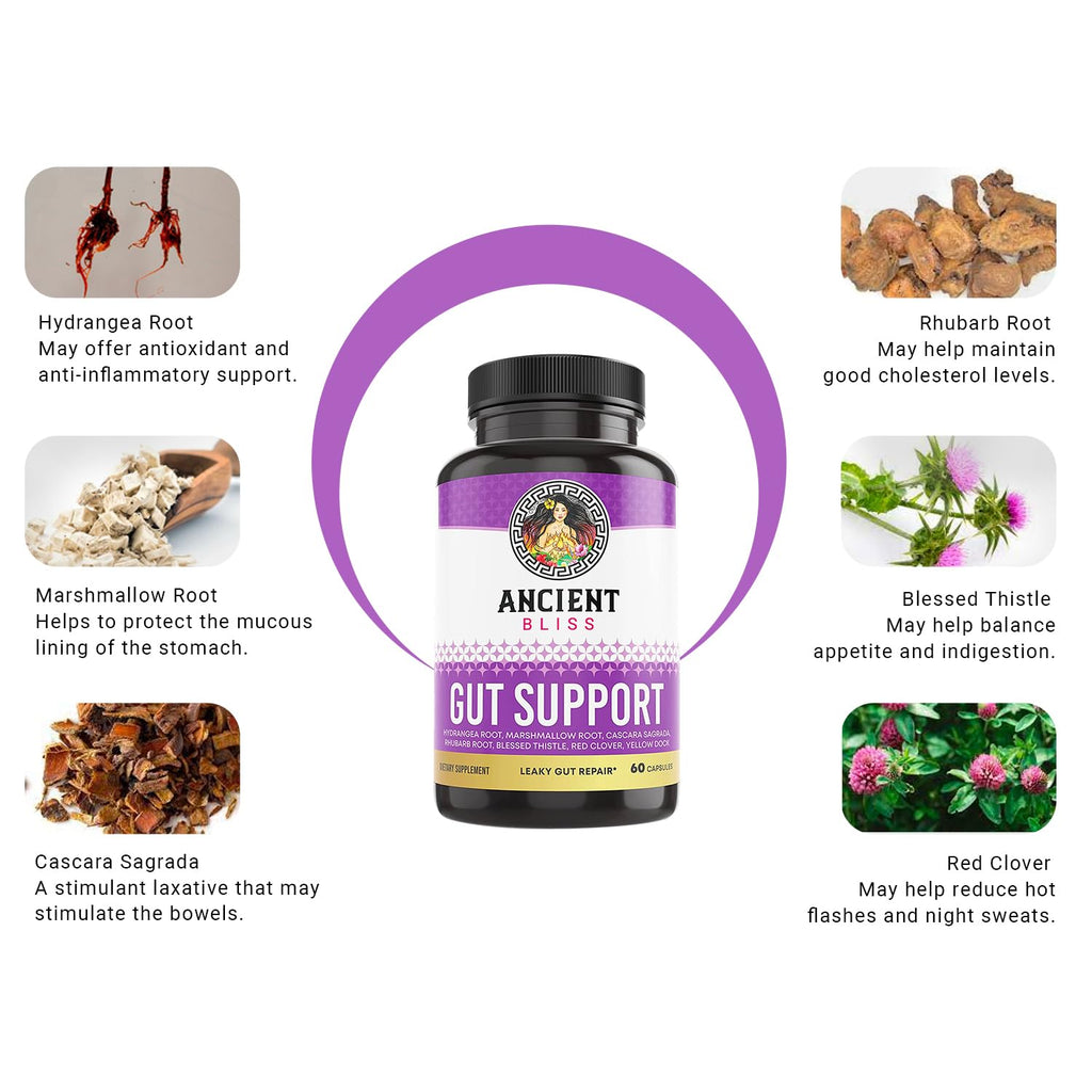 Ancient Bliss L-Glutamine Capsules for Gut Support - 60 Capsules - image 3