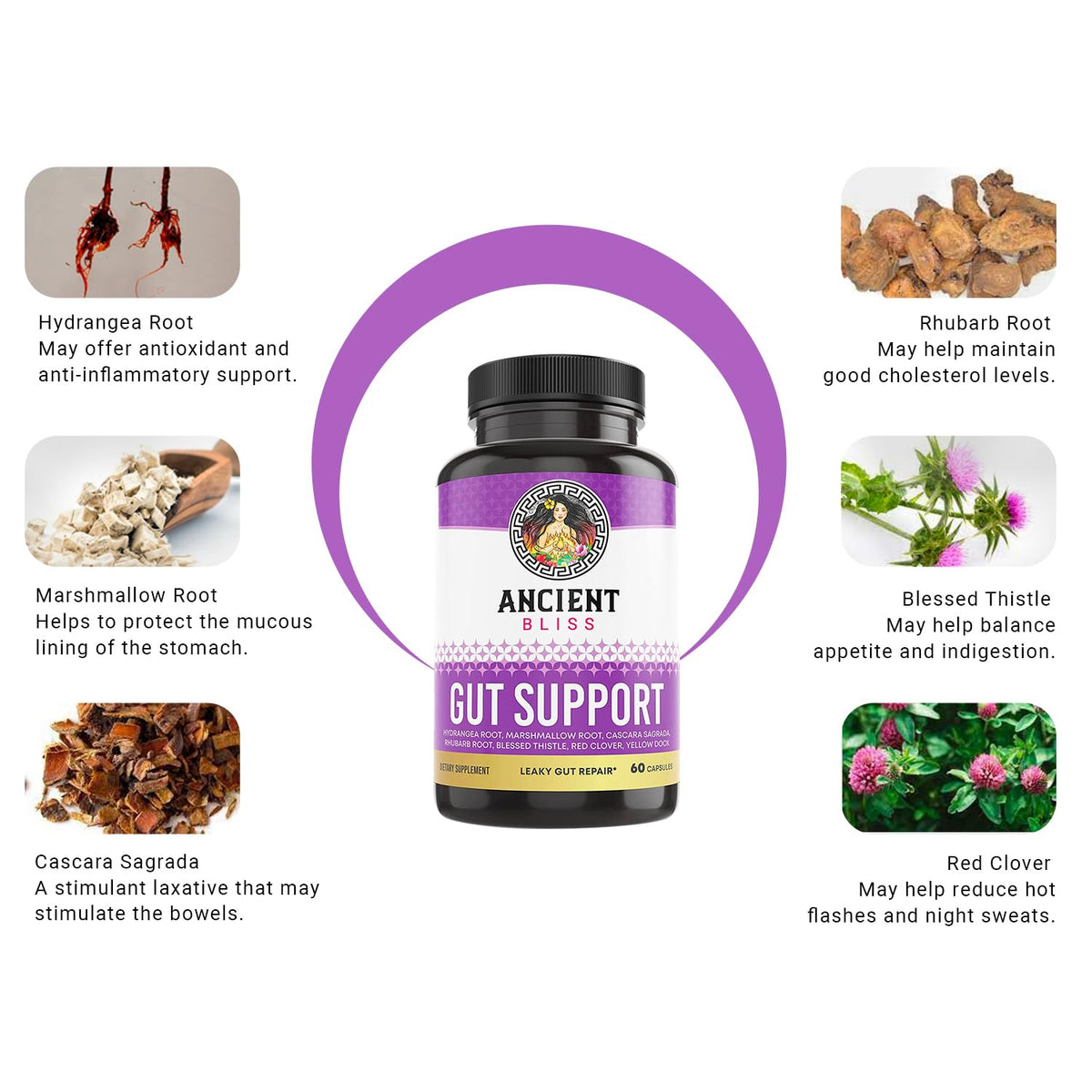 Ancient Bliss L-Glutamine Capsules for Gut Support - 60 Capsules - image 3