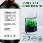 JB Wellness Co Liquid Chlorophyll Drops - 2-Pack - image 2