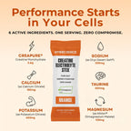 MYOXCIENCE Electrolyte STIX