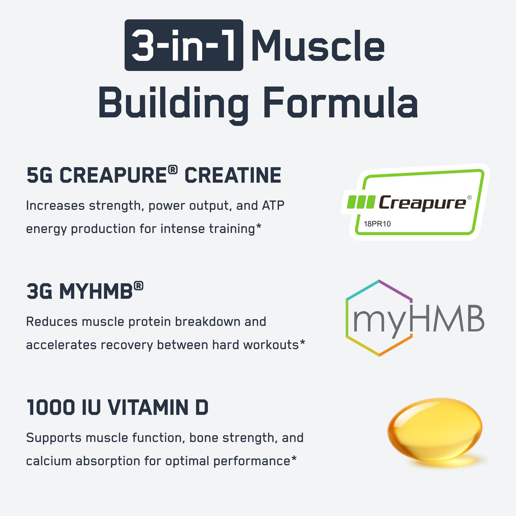SteelFit Creatine HMB Powder with Creapure - 30 Servings - image 3